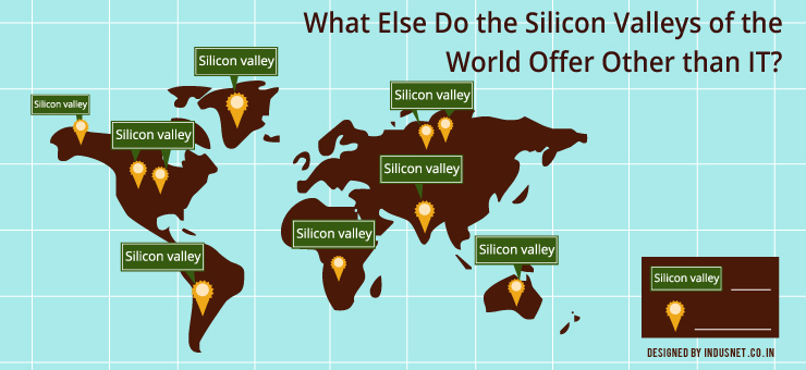What Else Do the Silicon Valleys of the World Offer Other than IT?