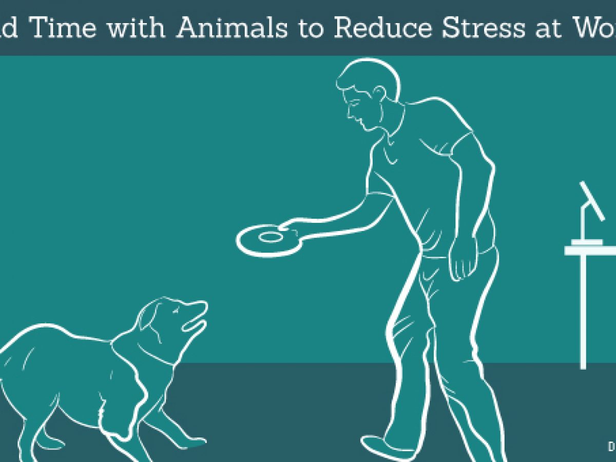 Spend Time with Pets to Reduce Stress at Work –