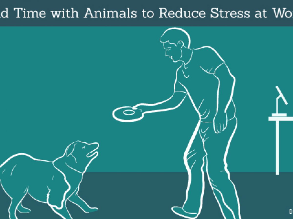 Spend Time with Pets to Reduce Stress at Work – Spend Time with Pets to Reduce Stress at Work –