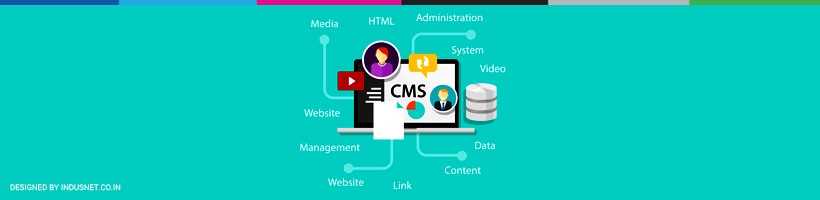 Why should you choose a CMS and not a custom development partner?
